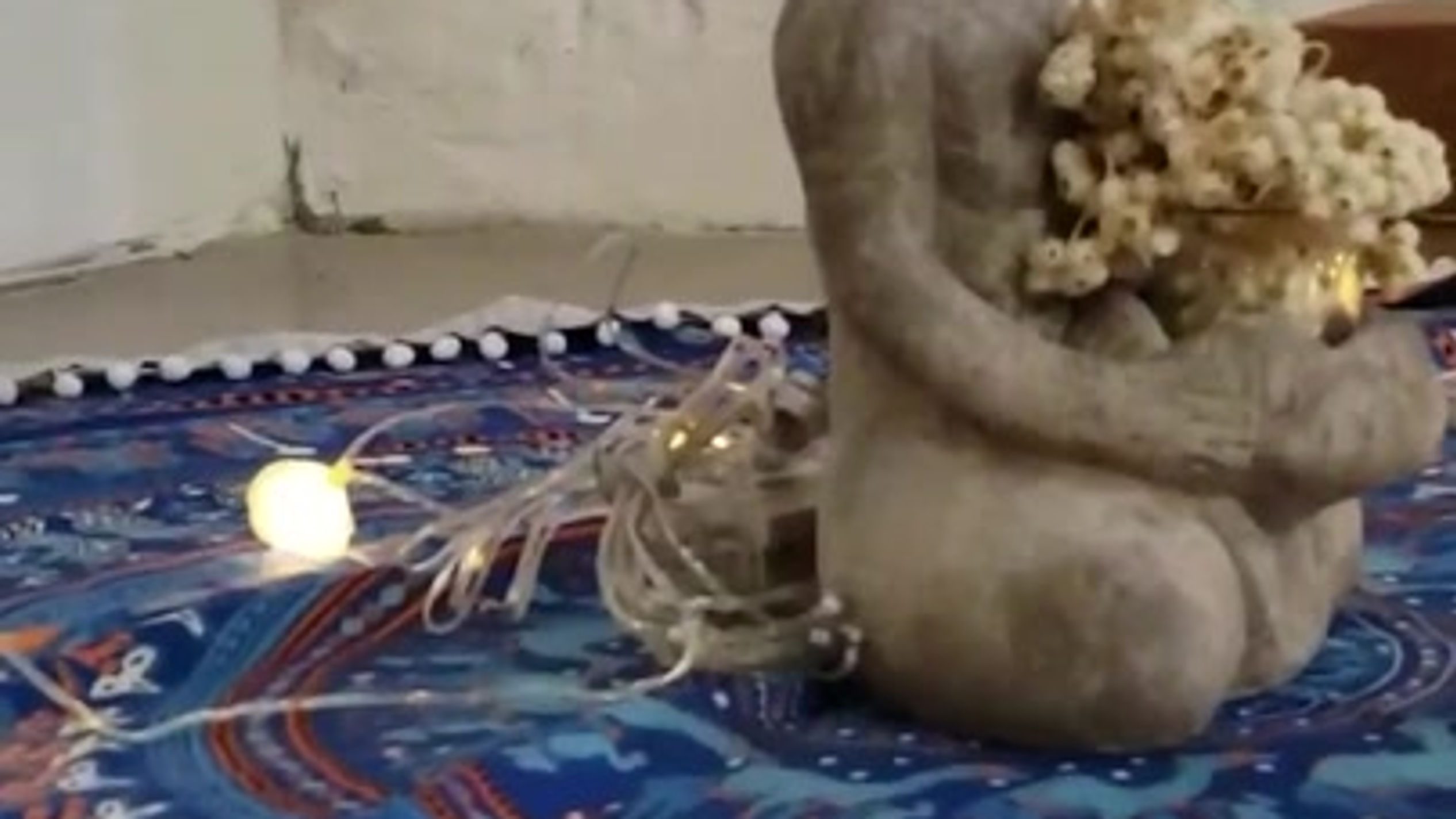 Harmonie des cinq sens (Monastère des Augustines)